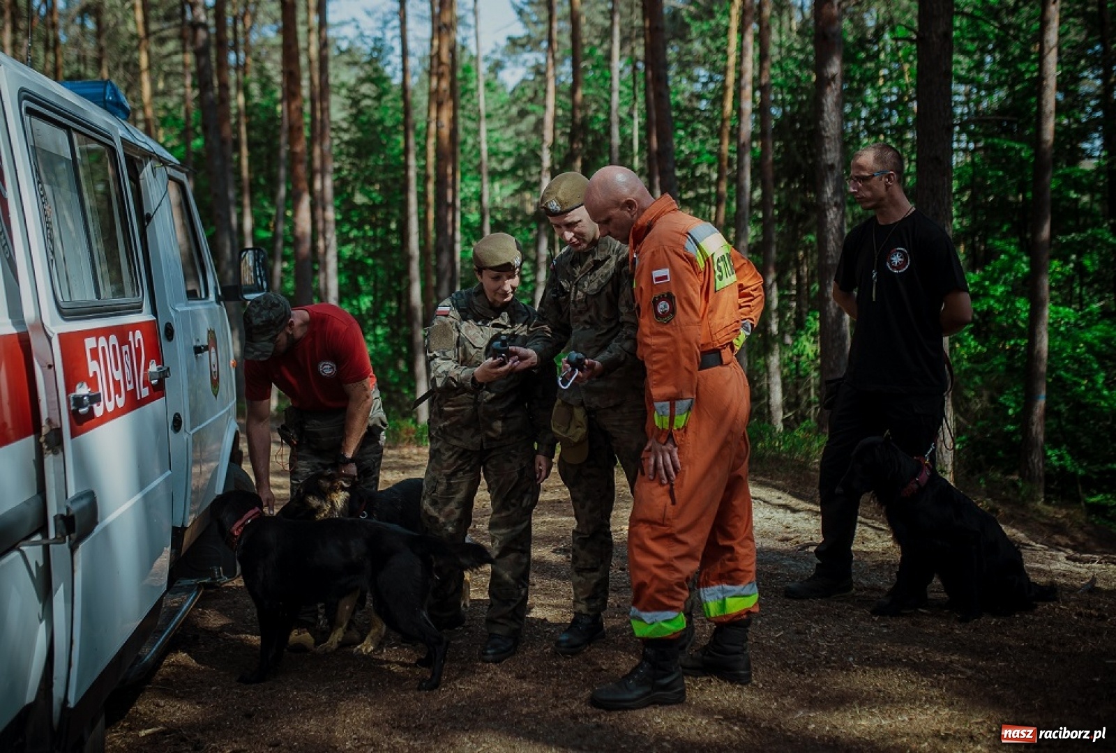 Zdjęcie w galerii na portalu naszraciborz.pl: Podczas wichury zaginęli drwale... Szkolenie śląskich terytorialsów [FOTO]  wiadomości z regionu