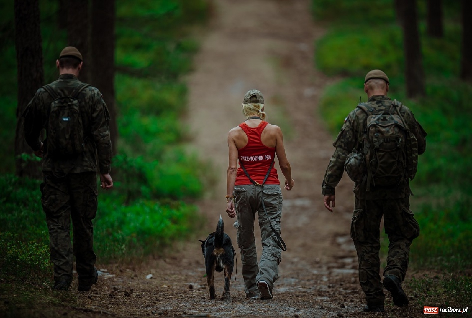 Zdjęcie w galerii na portalu naszraciborz.pl: Podczas wichury zaginęli drwale... Szkolenie śląskich terytorialsów [FOTO]  wiadomości z regionu