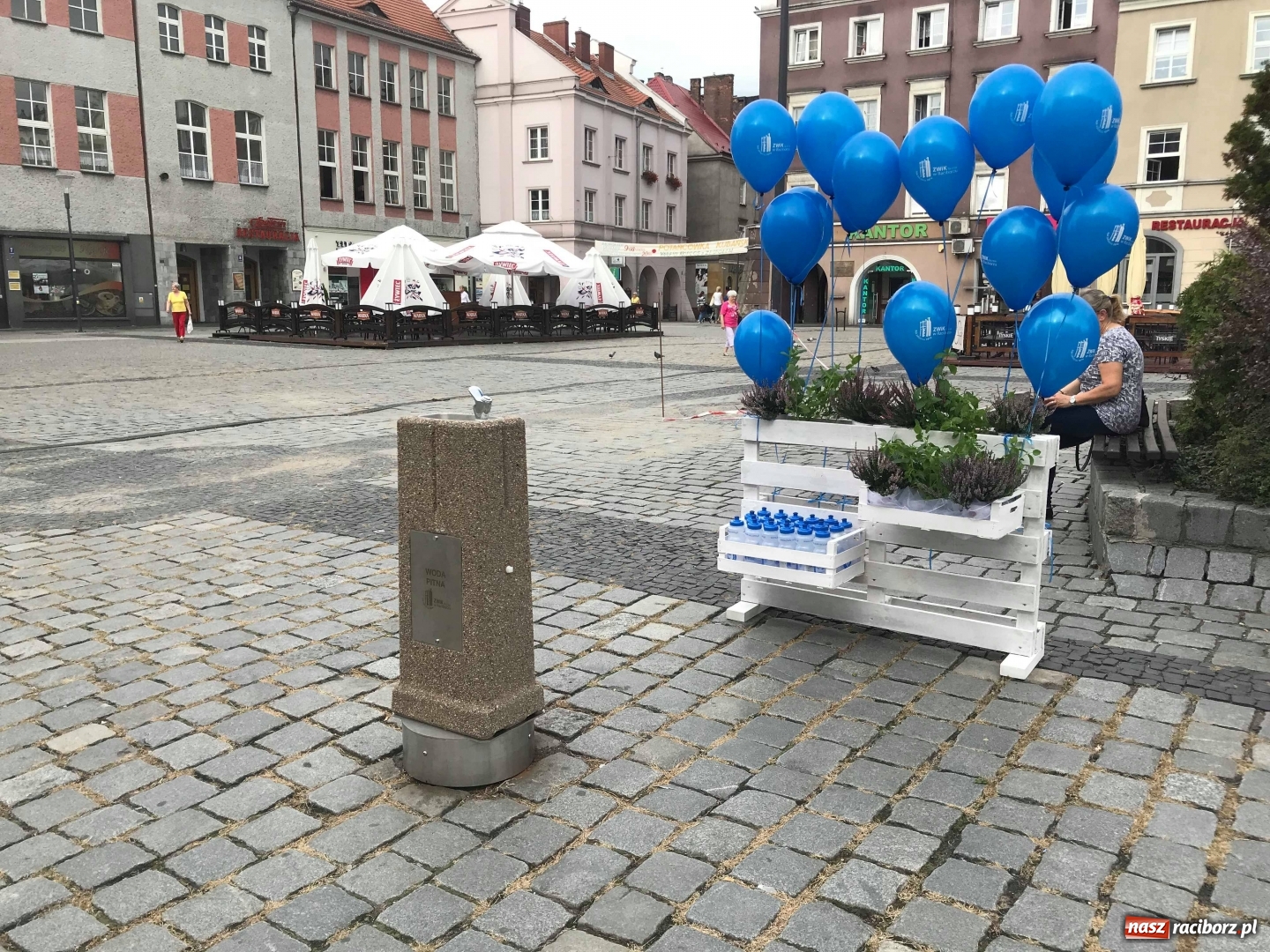 Zdjęcie w galerii na portalu naszraciborz.pl: Na raciborskim Rynku stanął zdrój [FOTO] wiadomości z regionu