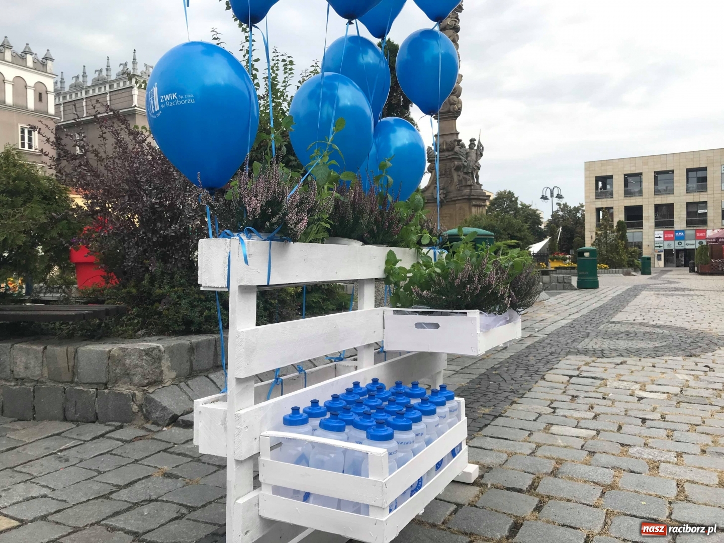 Zdjęcie w galerii na portalu naszraciborz.pl: Na raciborskim Rynku stanął zdrój [FOTO] wiadomości z regionu