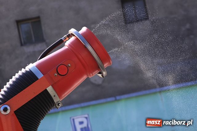 Zdjęcie w galerii na portalu naszraciborz.pl: Pogromcy komarów w akcji wiadomości z regionu