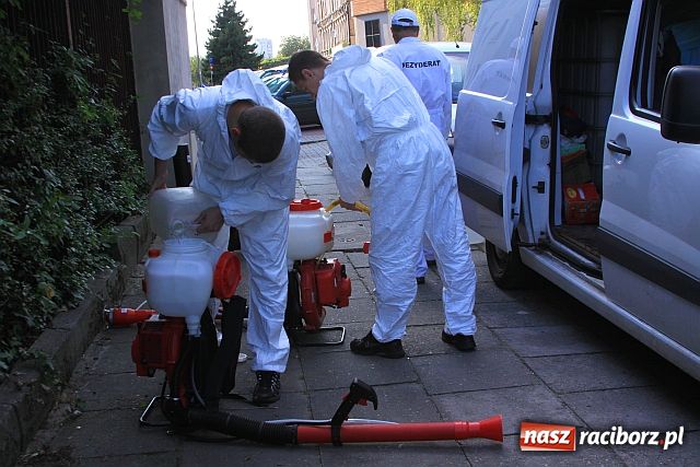 Zdjęcie w galerii na portalu naszraciborz.pl: Pogromcy komarów w akcji wiadomości z regionu