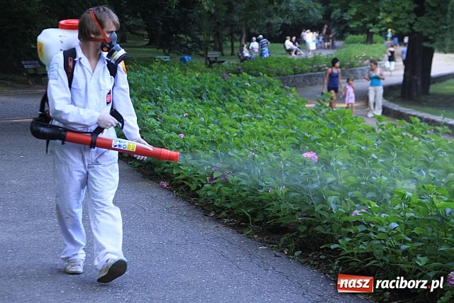 Zdjęcie w galerii na portalu naszraciborz.pl: Pogromcy komarów w akcji wiadomości z regionu