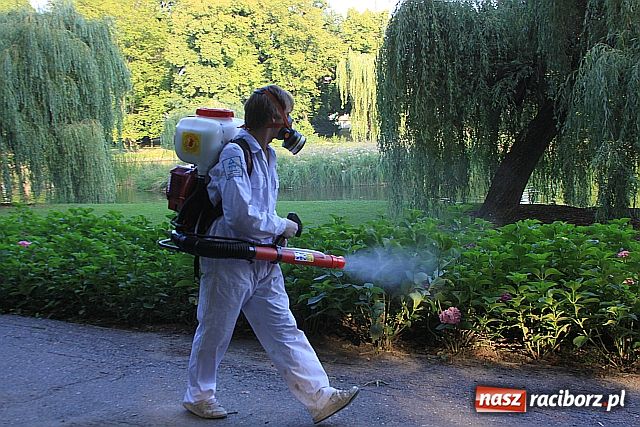 Zdjęcie w galerii na portalu naszraciborz.pl: Pogromcy komarów w akcji wiadomości z regionu