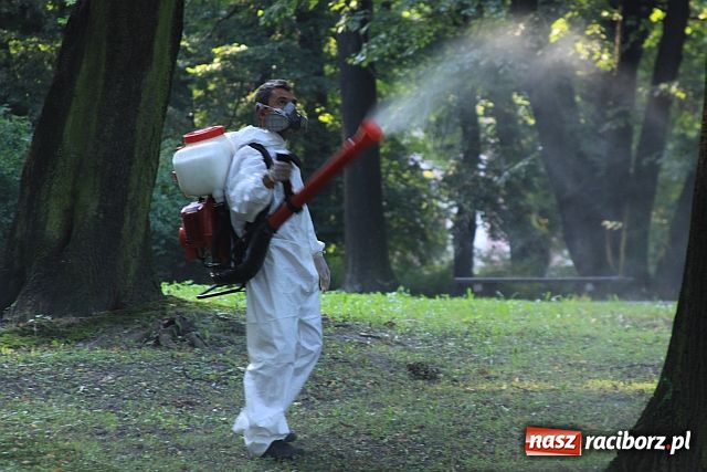 Zdjęcie w galerii na portalu naszraciborz.pl: Pogromcy komarów w akcji wiadomości z regionu