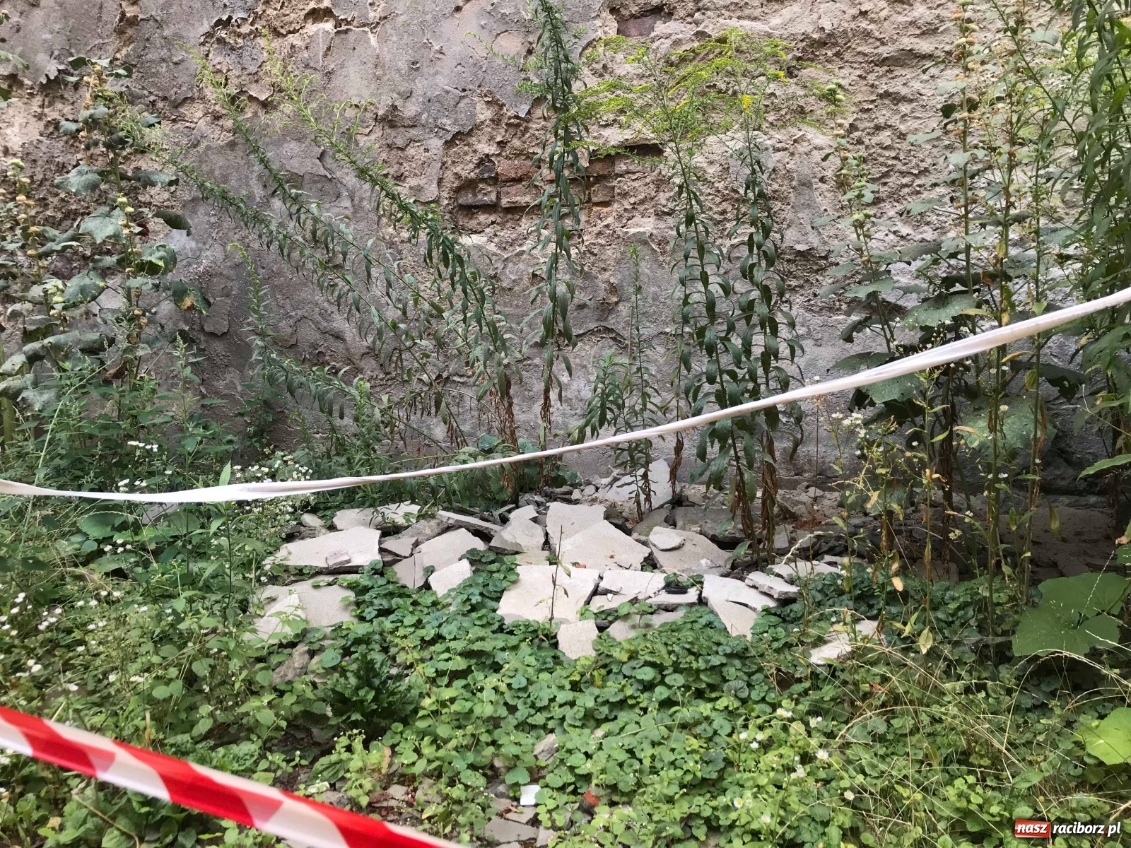 Zdjęcie w galerii na portalu naszraciborz.pl: Komornik wystawił na licytację starą winiarnię przy Zborowej [FOTO i WIDEO] wiadomości z regionu