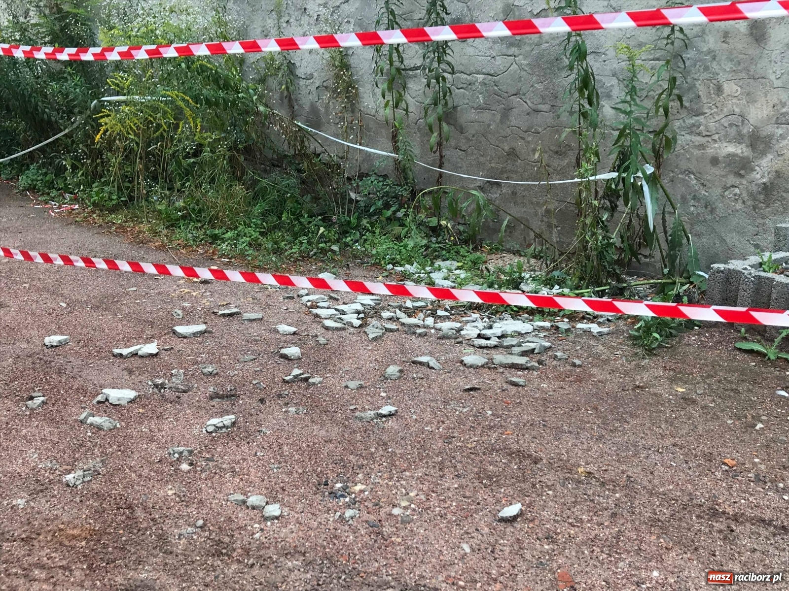 Zdjęcie w galerii na portalu naszraciborz.pl: Komornik wystawił na licytację starą winiarnię przy Zborowej [FOTO i WIDEO] wiadomości z regionu