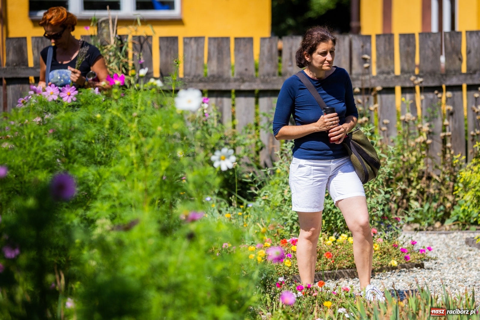 Zdjęcie w galerii na portalu naszraciborz.pl: Cztery godziny bez komórki i stresu. Shinrin-yoku w lesie Obora [WIDEO] wiadomości z regionu