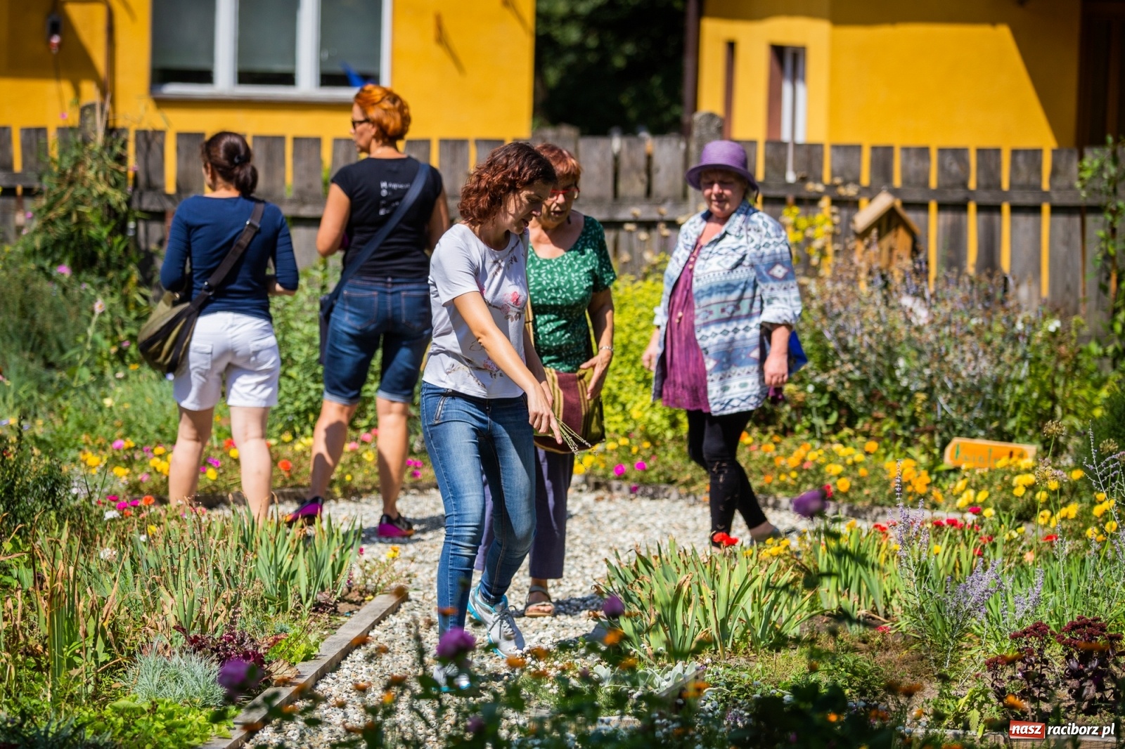 Zdjęcie w galerii na portalu naszraciborz.pl: Cztery godziny bez komórki i stresu. Shinrin-yoku w lesie Obora [WIDEO] wiadomości z regionu