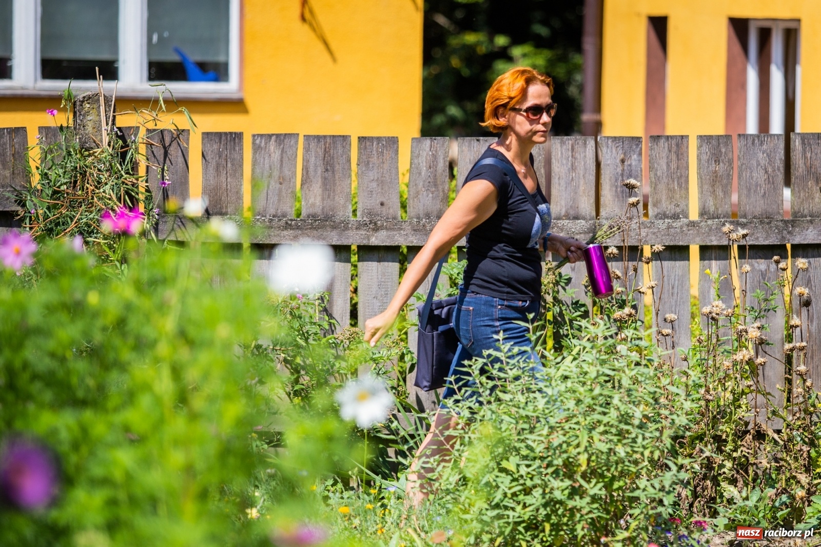 Zdjęcie w galerii na portalu naszraciborz.pl: Cztery godziny bez komórki i stresu. Shinrin-yoku w lesie Obora [WIDEO] wiadomości z regionu