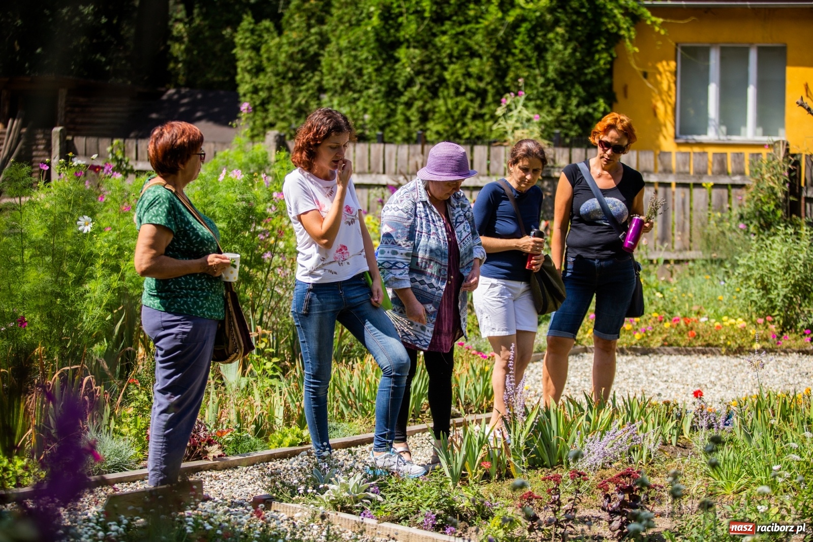 Zdjęcie w galerii na portalu naszraciborz.pl: Cztery godziny bez komórki i stresu. Shinrin-yoku w lesie Obora [WIDEO] wiadomości z regionu