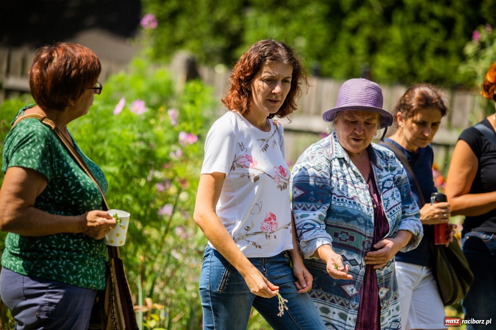 Zdjęcie w galerii na portalu naszraciborz.pl: Cztery godziny bez komórki i stresu. Shinrin-yoku w lesie Obora [WIDEO] wiadomości z regionu