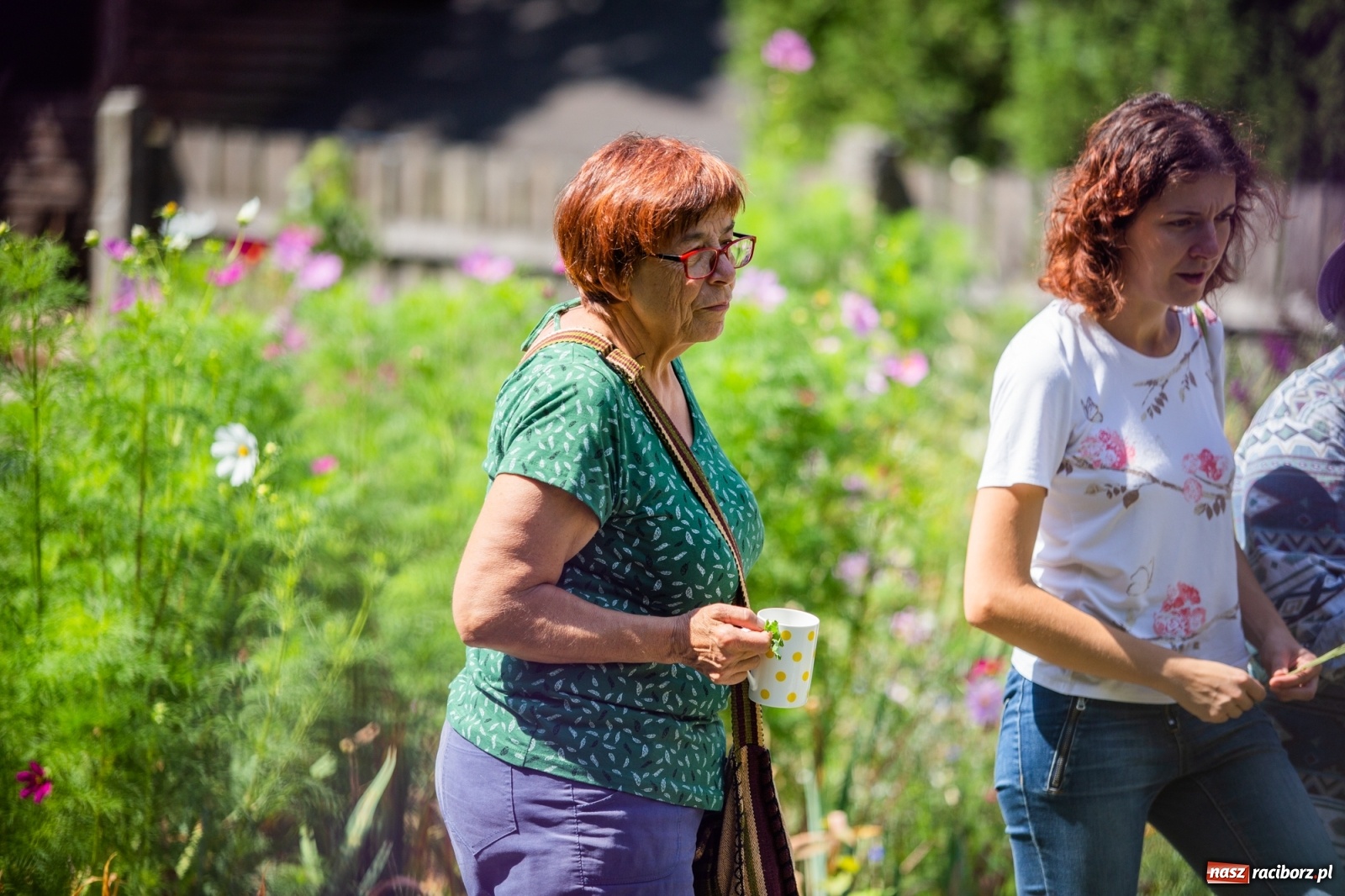 Zdjęcie w galerii na portalu naszraciborz.pl: Cztery godziny bez komórki i stresu. Shinrin-yoku w lesie Obora [WIDEO] wiadomości z regionu