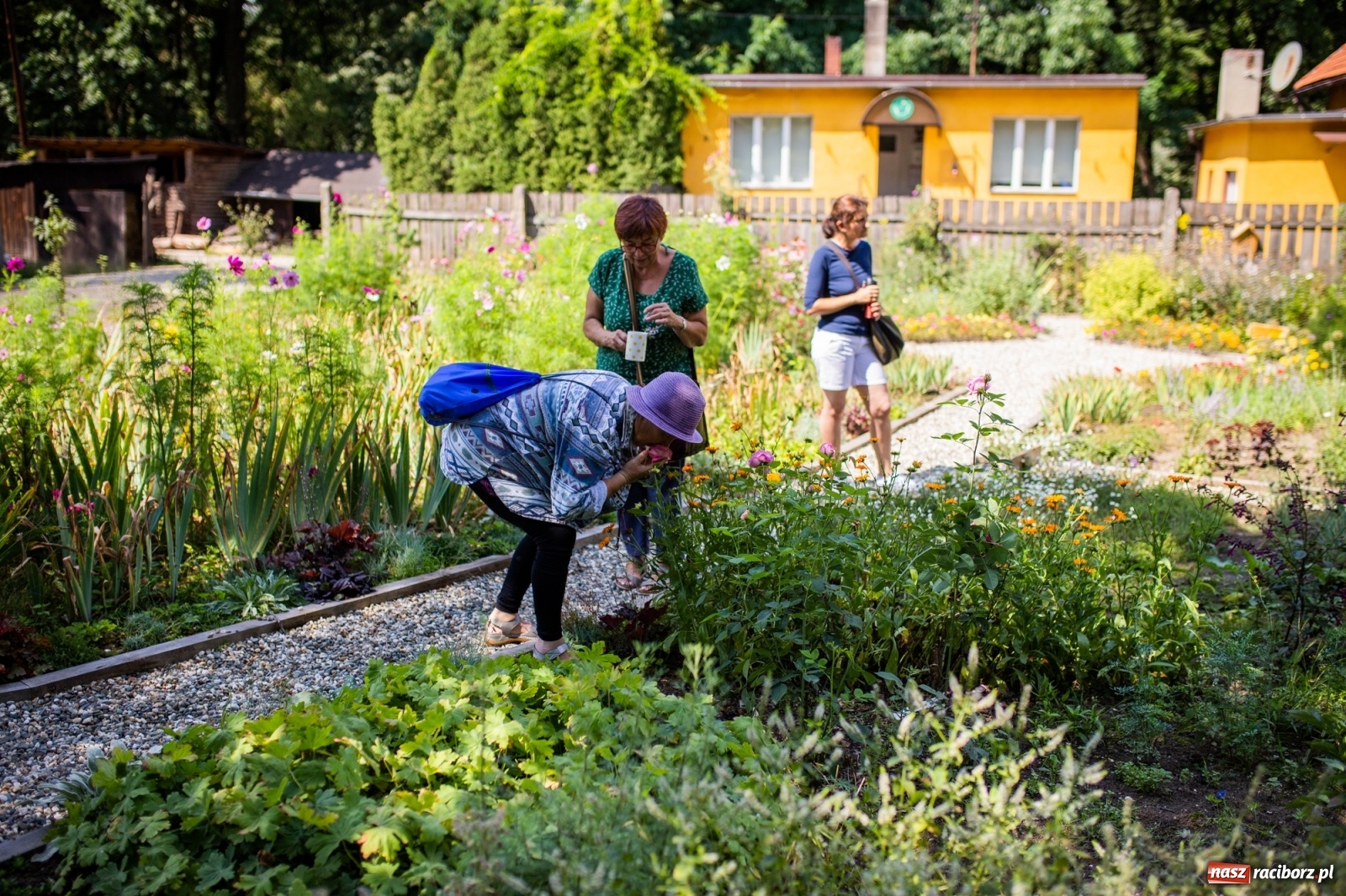 Zdjęcie w galerii na portalu naszraciborz.pl: Cztery godziny bez komórki i stresu. Shinrin-yoku w lesie Obora [WIDEO] wiadomości z regionu