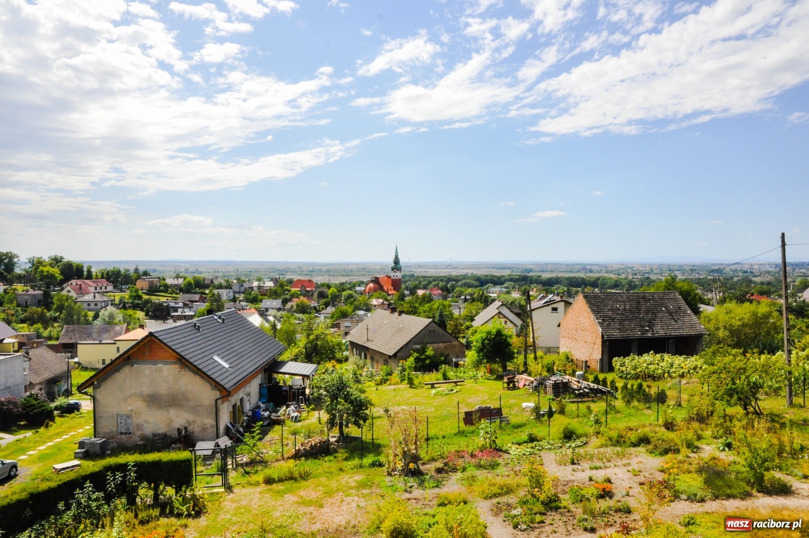 Zdjęcie w galerii na portalu naszraciborz.pl: W Raciborzu owocują...bananowce [FOTO] wiadomości z regionu