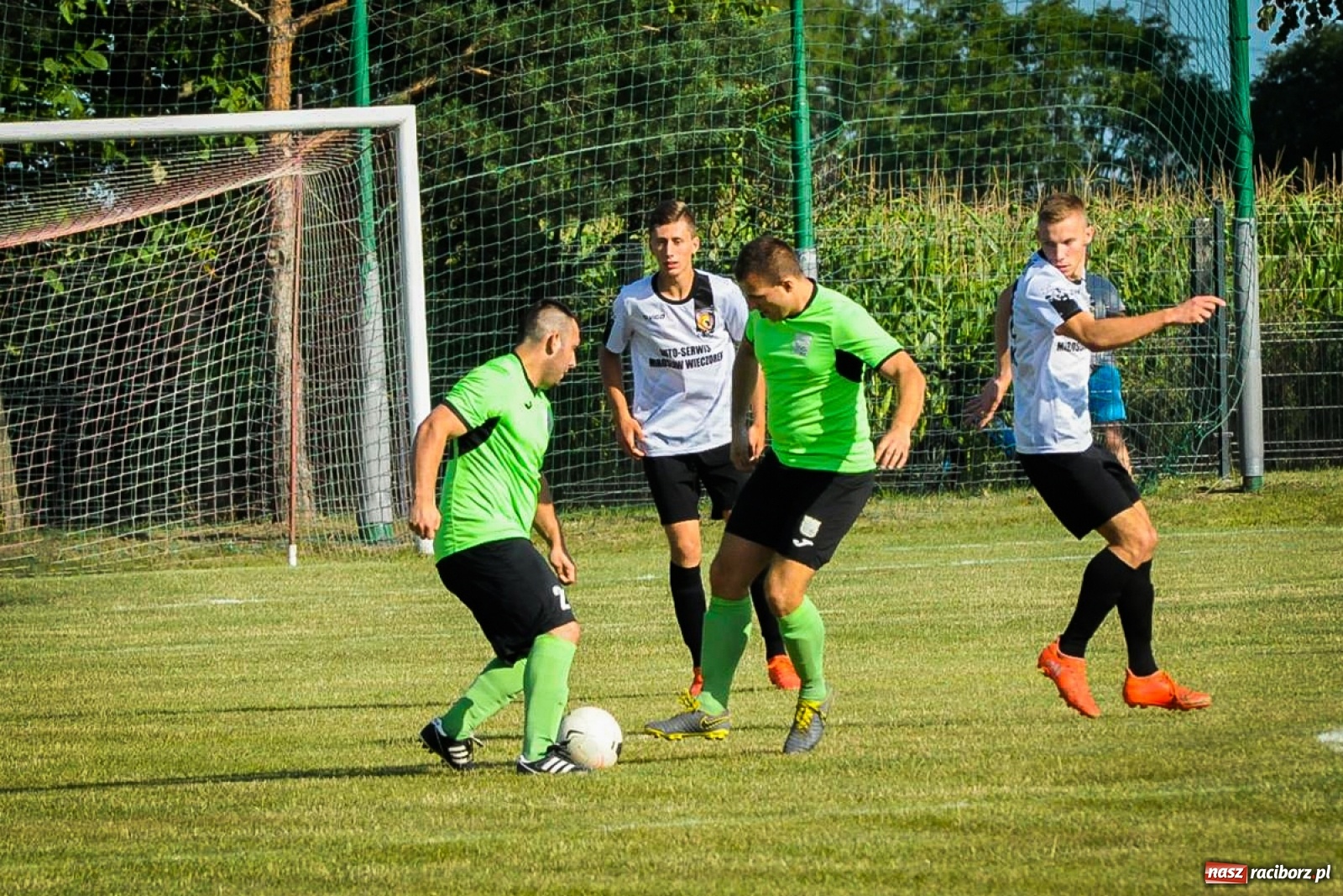 Zdjęcie w galerii na portalu naszraciborz.pl: Kobyla rozjechała sąsiadów z Kornowaca [FOTO i WIDEO] wiadomości z regionu