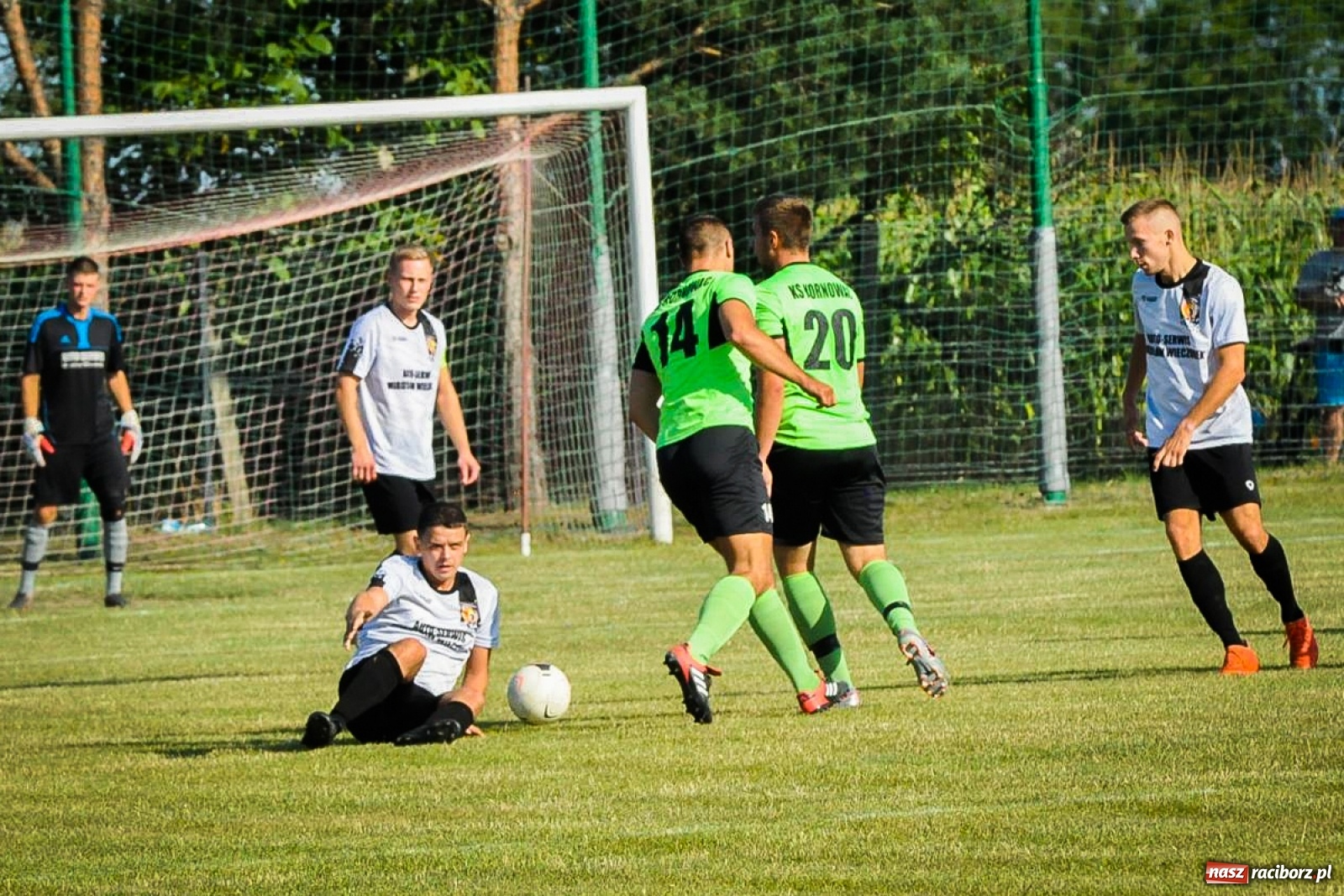 Zdjęcie w galerii na portalu naszraciborz.pl: Kobyla rozjechała sąsiadów z Kornowaca [FOTO i WIDEO] wiadomości z regionu
