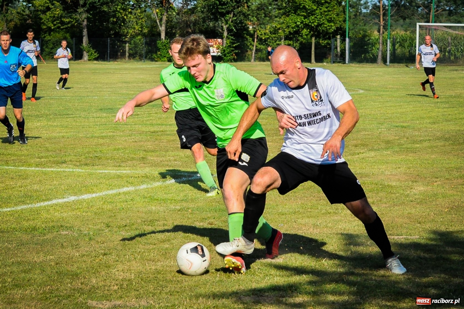 Zdjęcie w galerii na portalu naszraciborz.pl: Kobyla rozjechała sąsiadów z Kornowaca [FOTO i WIDEO] wiadomości z regionu