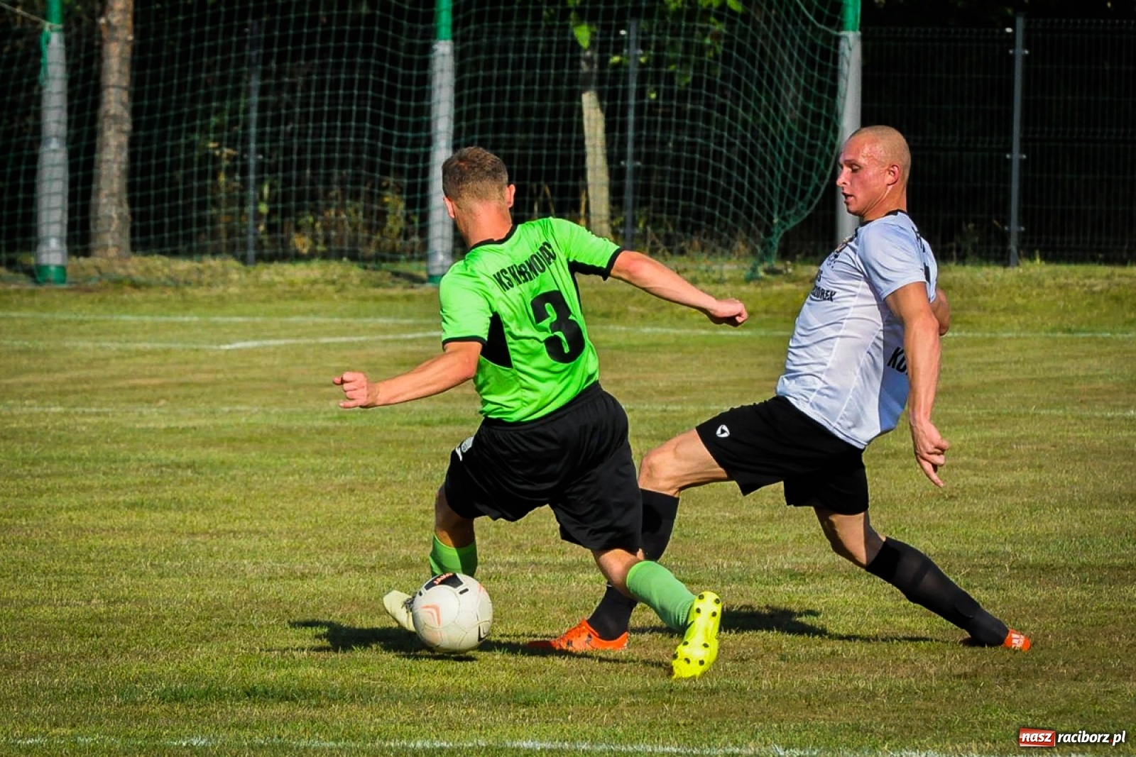 Zdjęcie w galerii na portalu naszraciborz.pl: Kobyla rozjechała sąsiadów z Kornowaca [FOTO i WIDEO] wiadomości z regionu