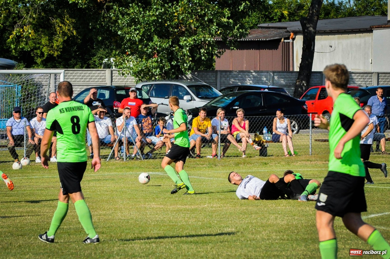 Zdjęcie w galerii na portalu naszraciborz.pl: Kobyla rozjechała sąsiadów z Kornowaca [FOTO i WIDEO] wiadomości z regionu