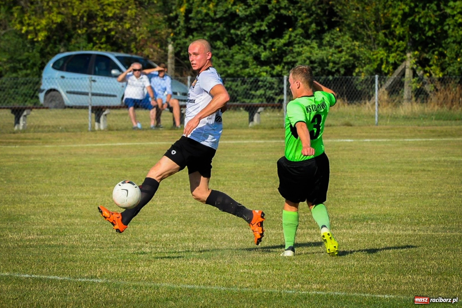 Zdjęcie w galerii na portalu naszraciborz.pl: Kobyla rozjechała sąsiadów z Kornowaca [FOTO i WIDEO] wiadomości z regionu