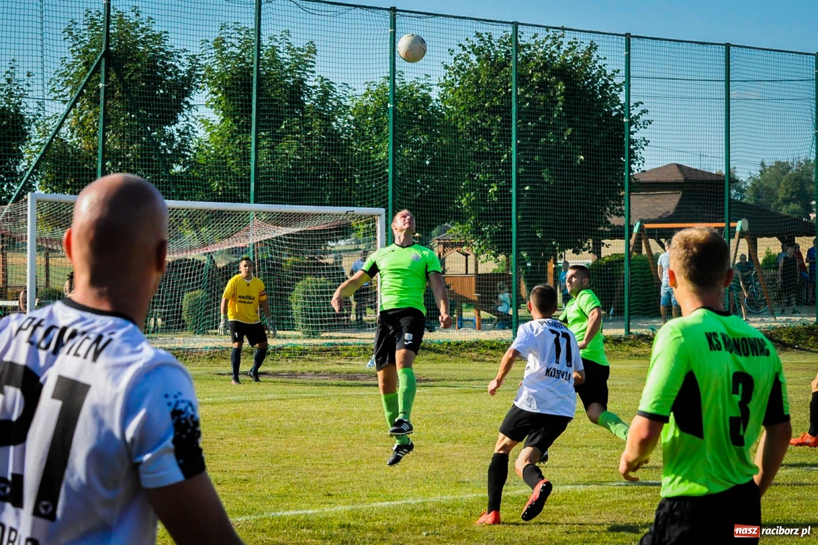 Zdjęcie w galerii na portalu naszraciborz.pl: Kobyla rozjechała sąsiadów z Kornowaca [FOTO i WIDEO] wiadomości z regionu