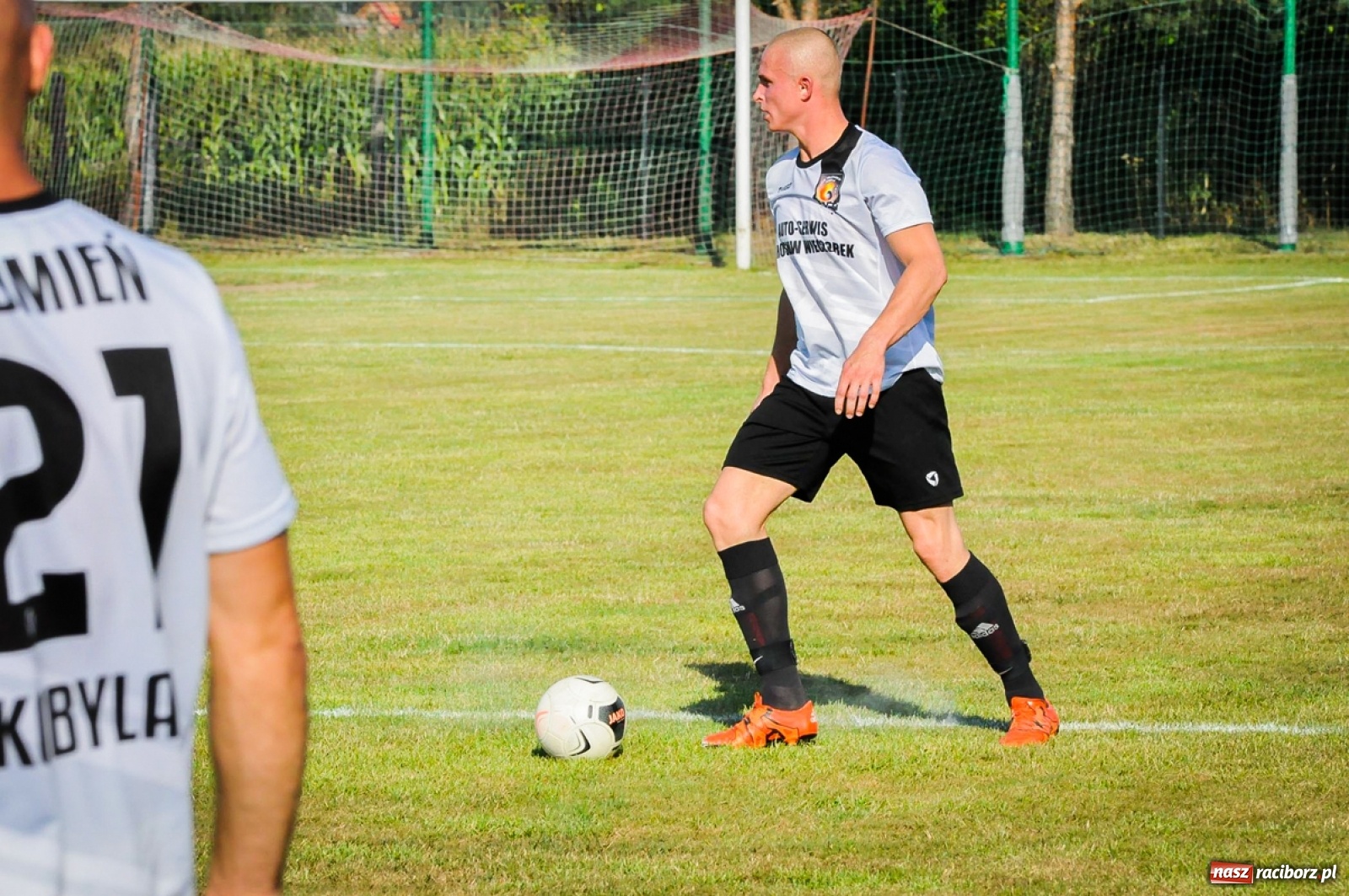 Zdjęcie w galerii na portalu naszraciborz.pl: Kobyla rozjechała sąsiadów z Kornowaca [FOTO i WIDEO] wiadomości z regionu