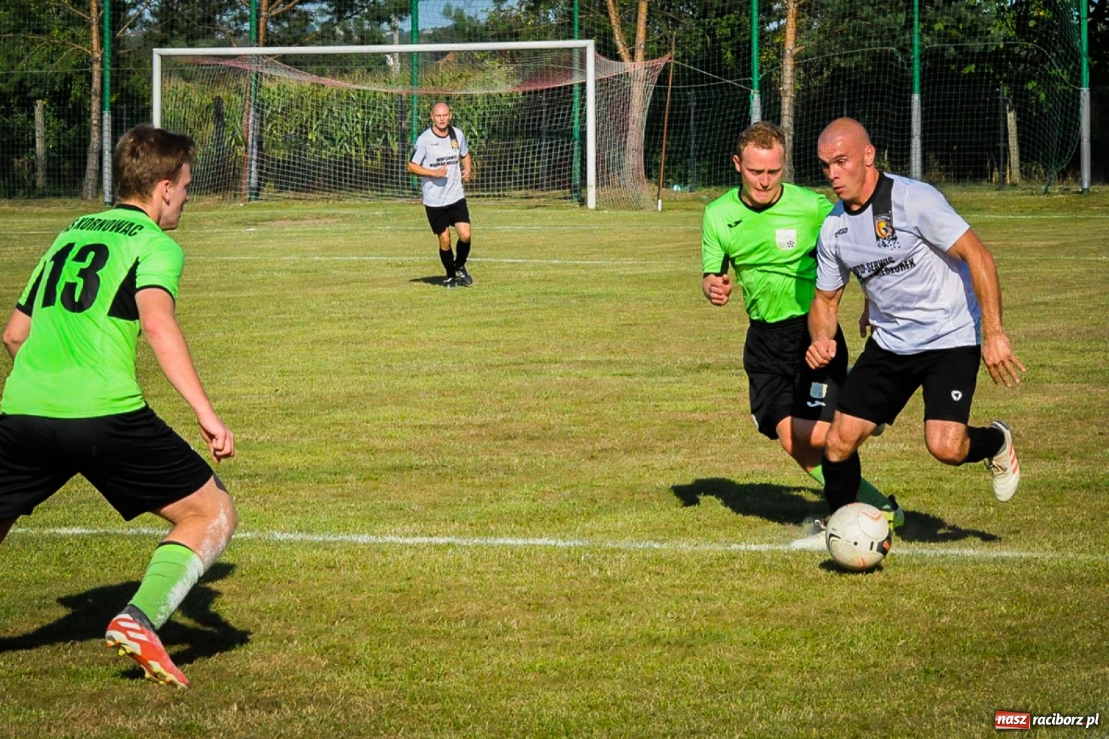 Zdjęcie w galerii na portalu naszraciborz.pl: Kobyla rozjechała sąsiadów z Kornowaca [FOTO i WIDEO] wiadomości z regionu