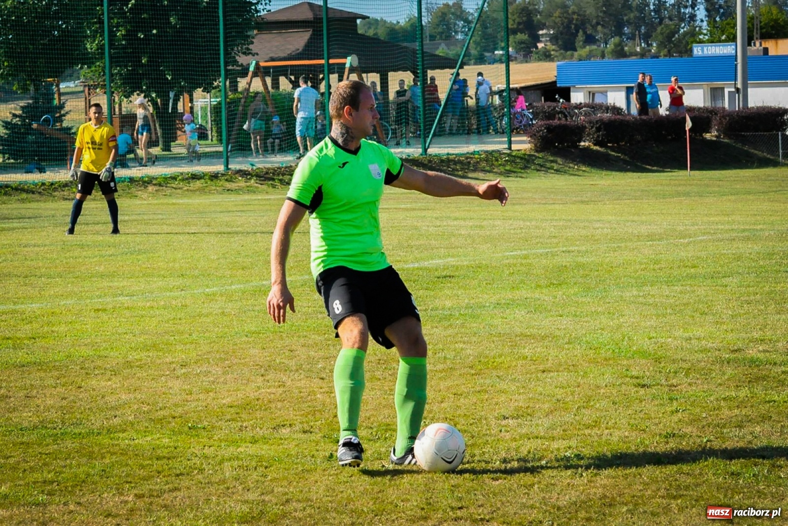Zdjęcie w galerii na portalu naszraciborz.pl: Kobyla rozjechała sąsiadów z Kornowaca [FOTO i WIDEO] wiadomości z regionu