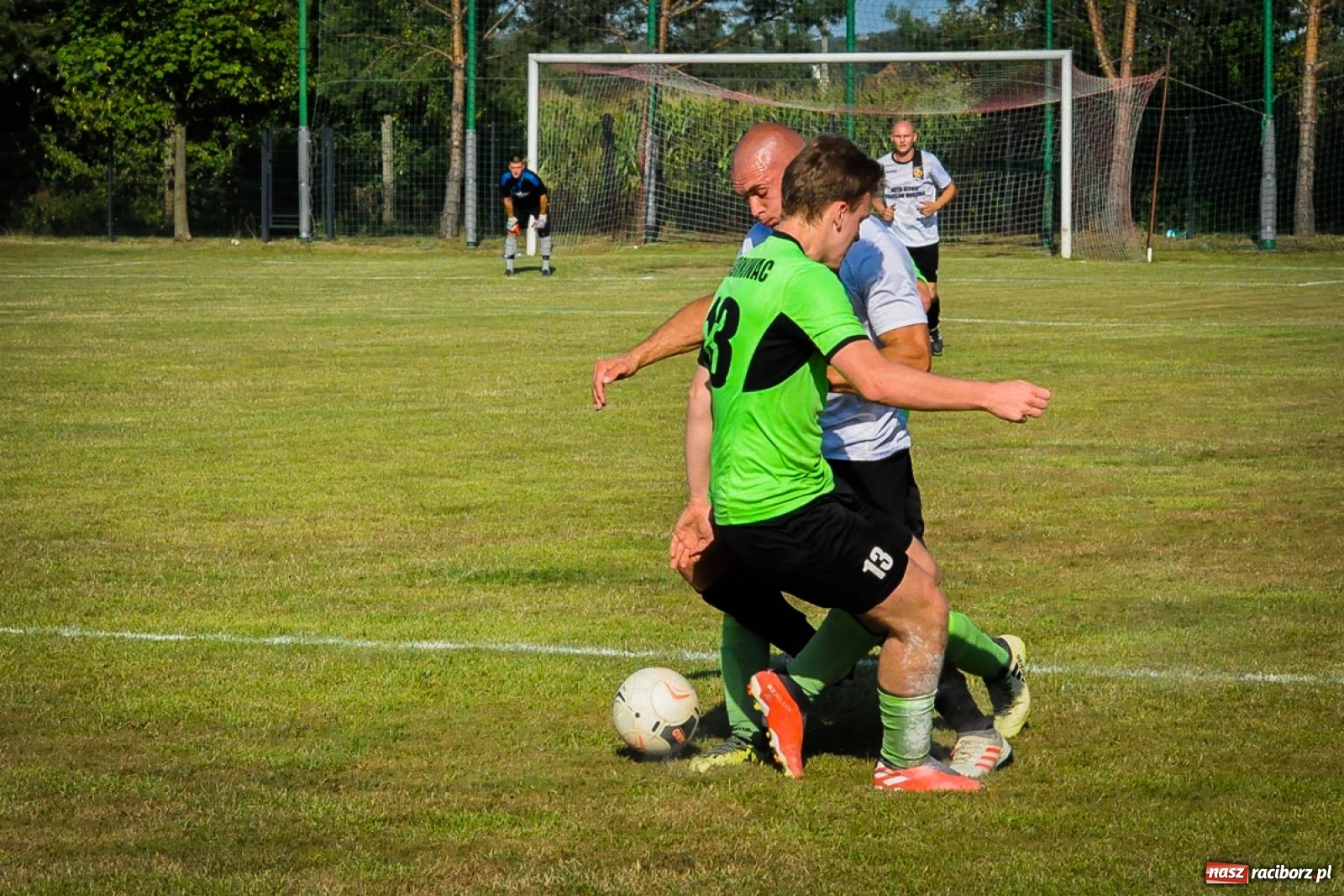 Zdjęcie w galerii na portalu naszraciborz.pl: Kobyla rozjechała sąsiadów z Kornowaca [FOTO i WIDEO] wiadomości z regionu