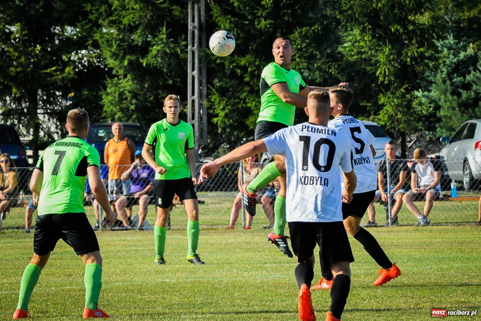 Zdjęcie w galerii na portalu naszraciborz.pl: Kobyla rozjechała sąsiadów z Kornowaca [FOTO i WIDEO] wiadomości z regionu