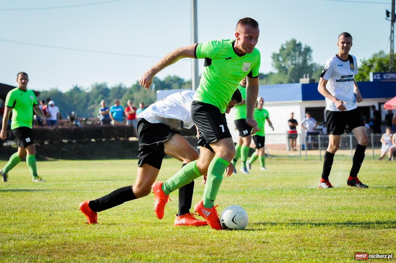 Zdjęcie w galerii na portalu naszraciborz.pl: Kobyla rozjechała sąsiadów z Kornowaca [FOTO i WIDEO] wiadomości z regionu