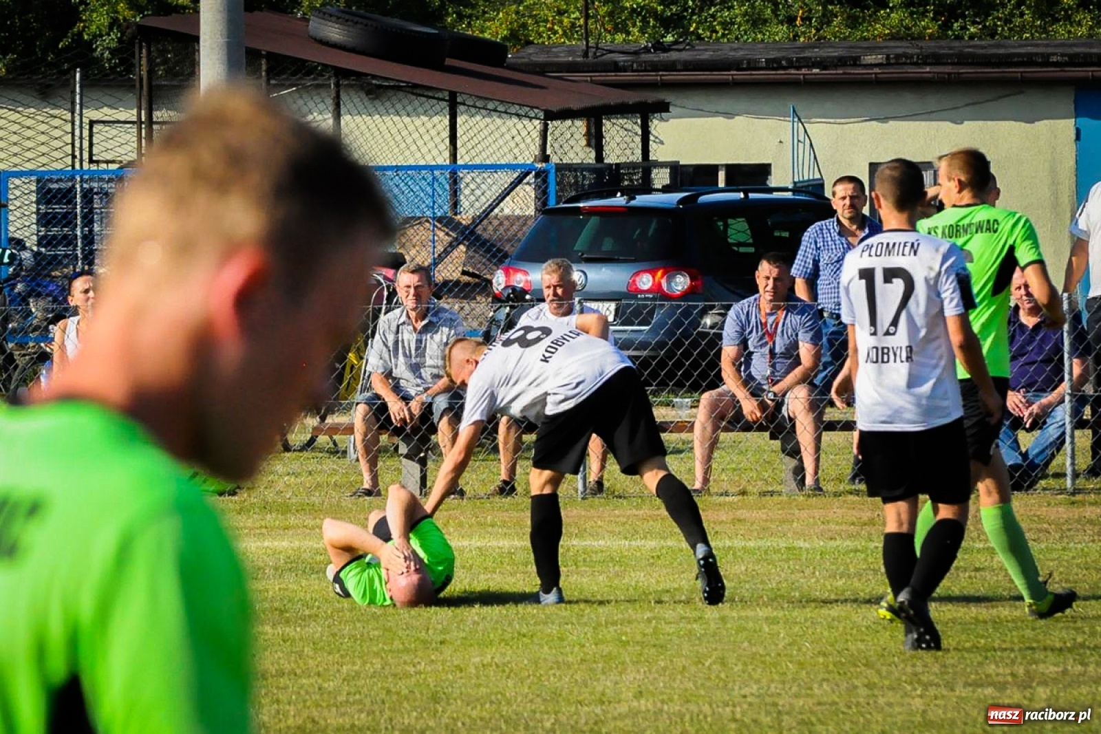 Zdjęcie w galerii na portalu naszraciborz.pl: Kobyla rozjechała sąsiadów z Kornowaca [FOTO i WIDEO] wiadomości z regionu