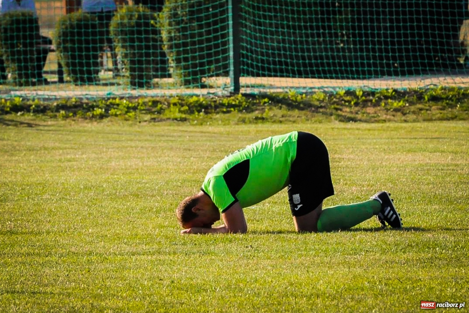Zdjęcie w galerii na portalu naszraciborz.pl: Kobyla rozjechała sąsiadów z Kornowaca [FOTO i WIDEO] wiadomości z regionu