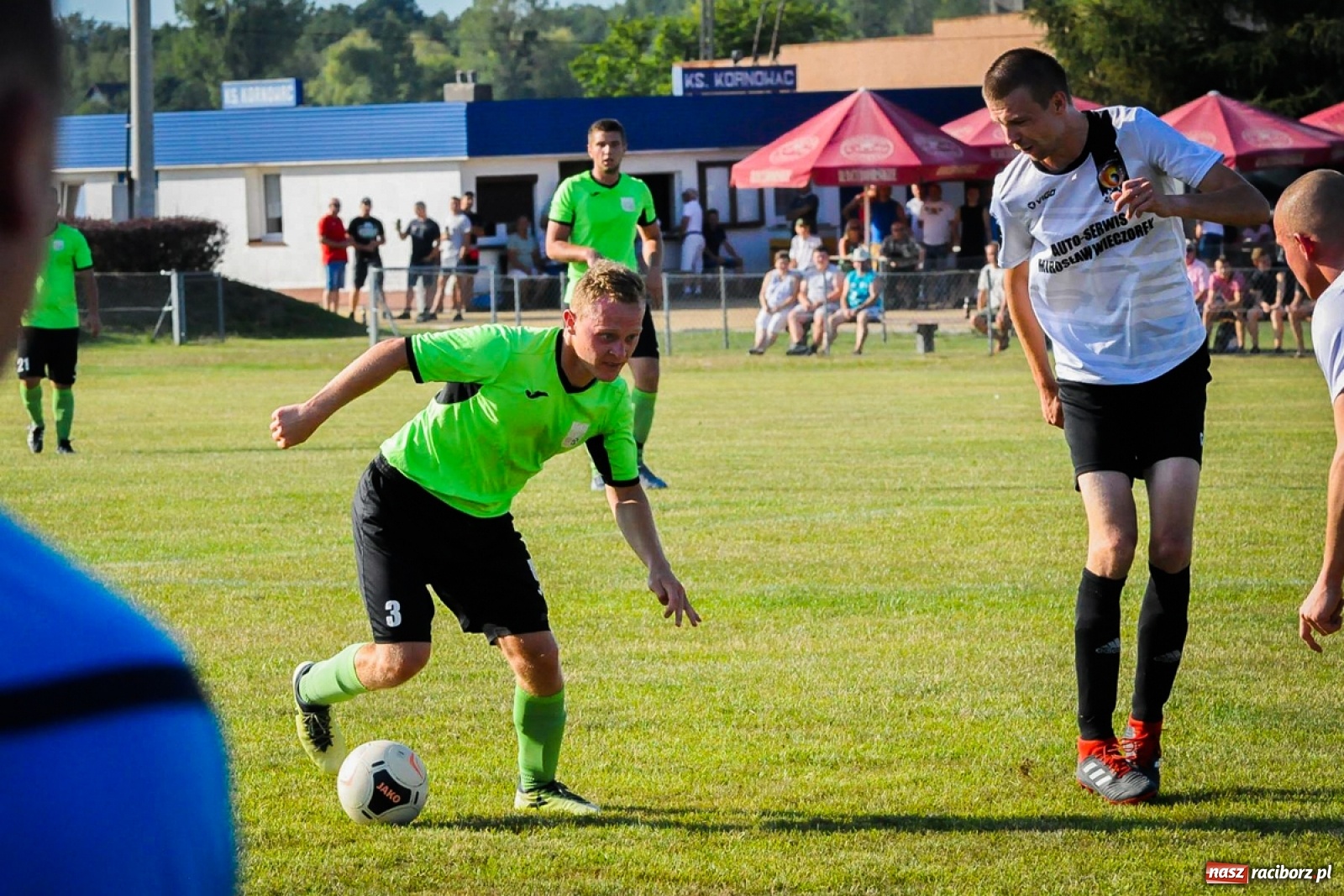 Zdjęcie w galerii na portalu naszraciborz.pl: Kobyla rozjechała sąsiadów z Kornowaca [FOTO i WIDEO] wiadomości z regionu