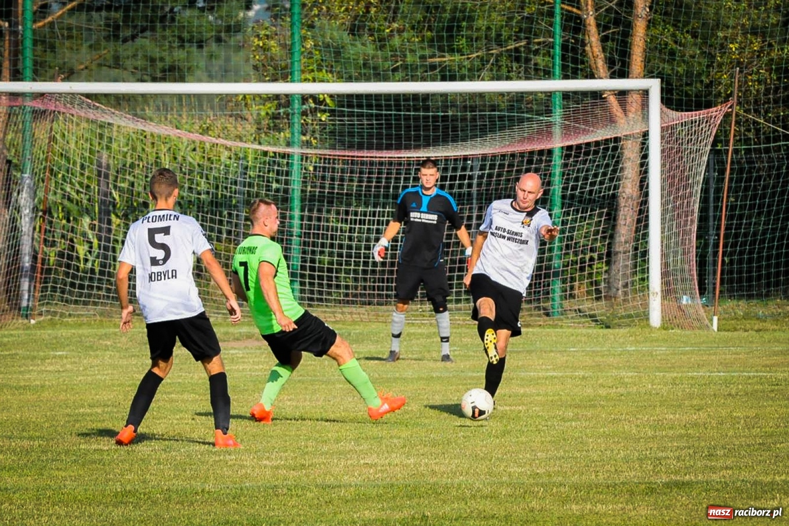 Zdjęcie w galerii na portalu naszraciborz.pl: Kobyla rozjechała sąsiadów z Kornowaca [FOTO i WIDEO] wiadomości z regionu