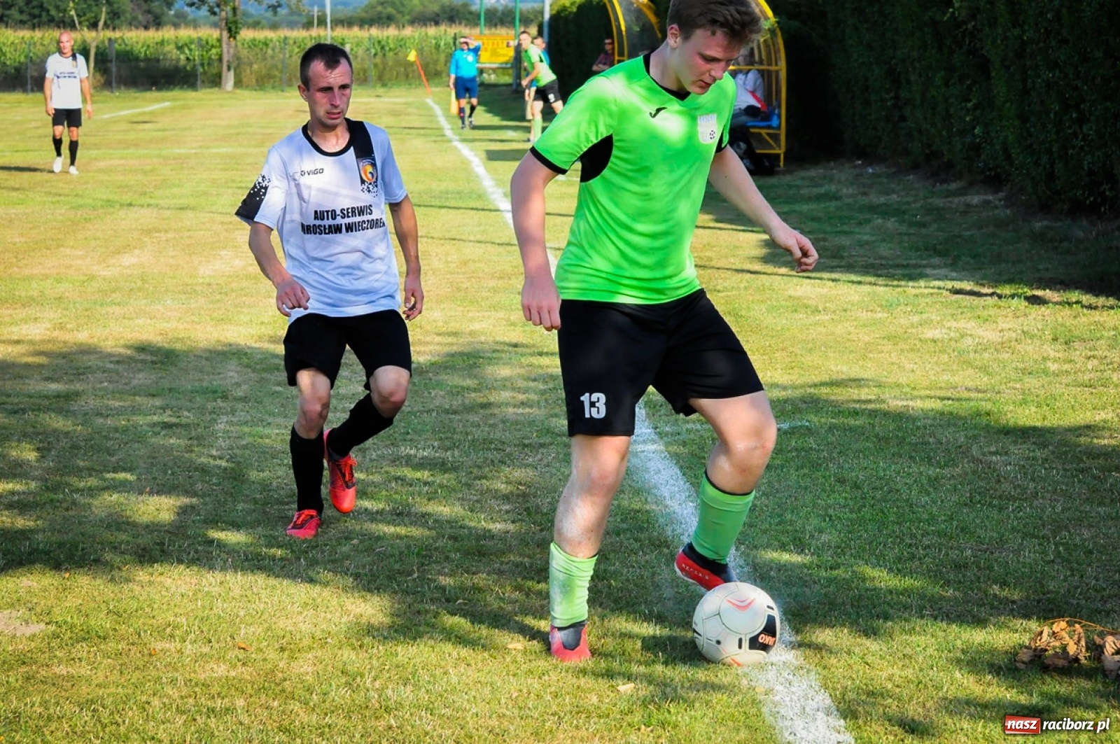 Zdjęcie w galerii na portalu naszraciborz.pl: Kobyla rozjechała sąsiadów z Kornowaca [FOTO i WIDEO] wiadomości z regionu