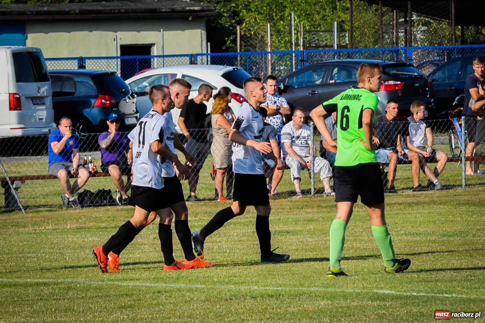 Zdjęcie w galerii na portalu naszraciborz.pl: Kobyla rozjechała sąsiadów z Kornowaca [FOTO i WIDEO] wiadomości z regionu