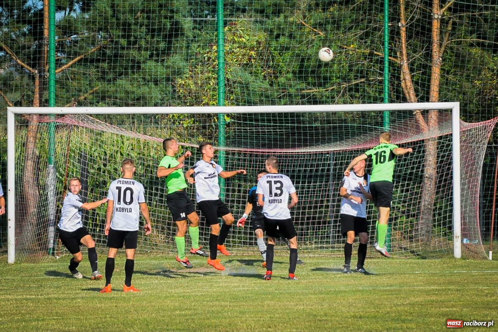 Zdjęcie w galerii na portalu naszraciborz.pl: Kobyla rozjechała sąsiadów z Kornowaca [FOTO i WIDEO] wiadomości z regionu