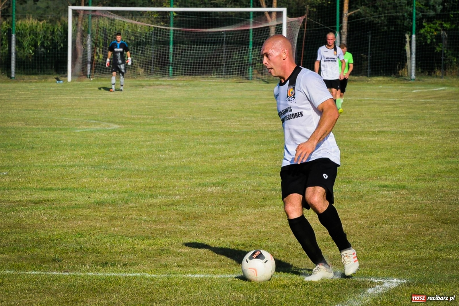 Zdjęcie w galerii na portalu naszraciborz.pl: Kobyla rozjechała sąsiadów z Kornowaca [FOTO i WIDEO] wiadomości z regionu