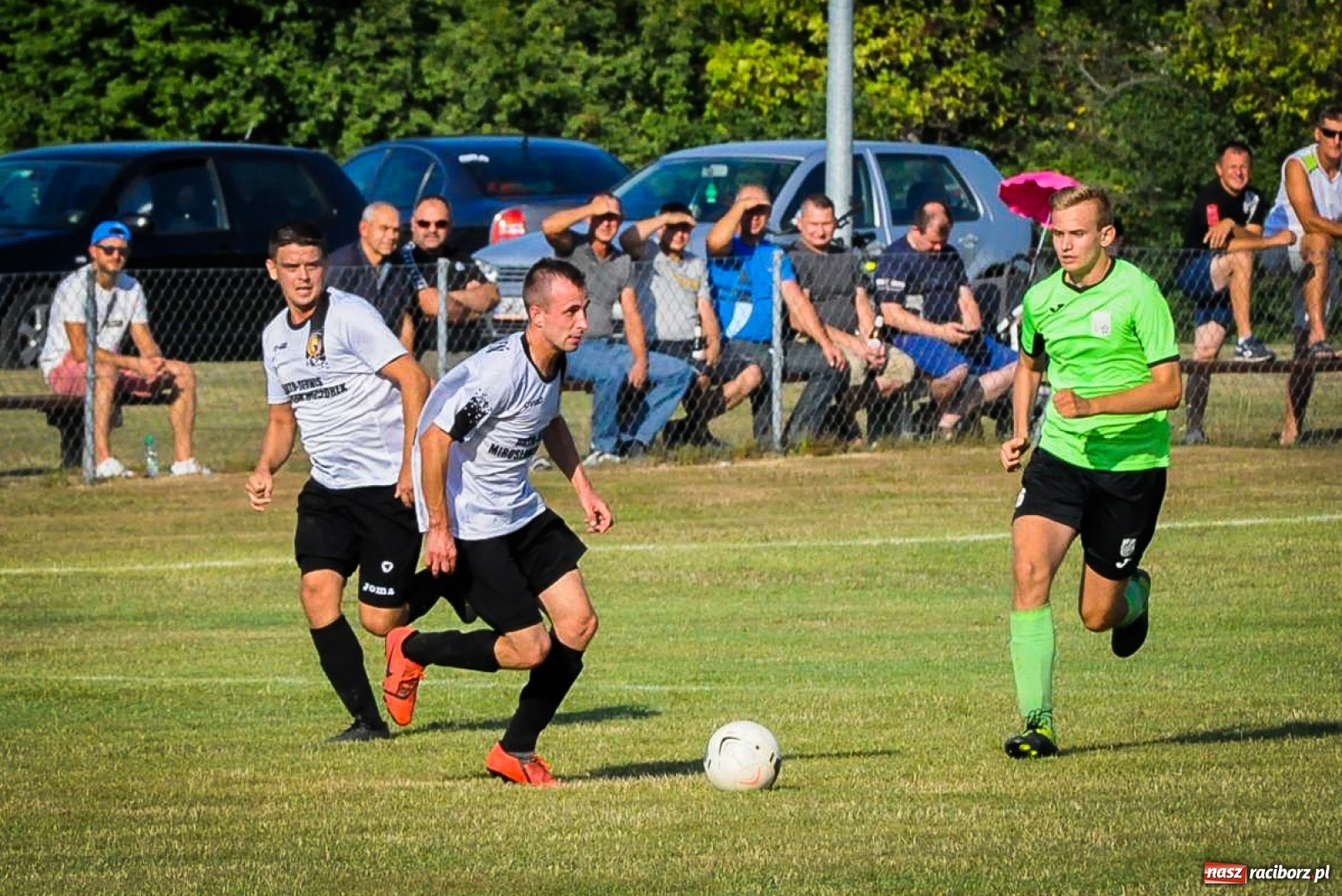 Zdjęcie w galerii na portalu naszraciborz.pl: Kobyla rozjechała sąsiadów z Kornowaca [FOTO i WIDEO] wiadomości z regionu