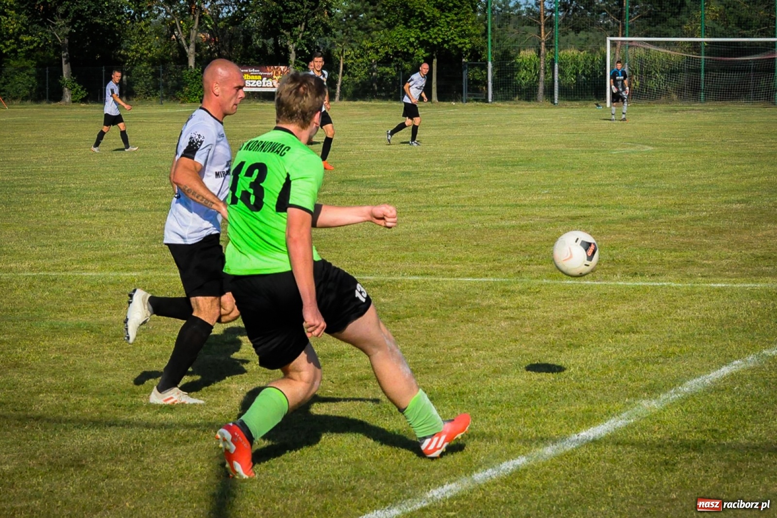 Zdjęcie w galerii na portalu naszraciborz.pl: Kobyla rozjechała sąsiadów z Kornowaca [FOTO i WIDEO] wiadomości z regionu