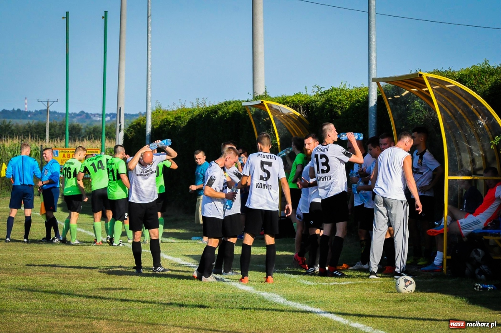 Zdjęcie w galerii na portalu naszraciborz.pl: Kobyla rozjechała sąsiadów z Kornowaca [FOTO i WIDEO] wiadomości z regionu