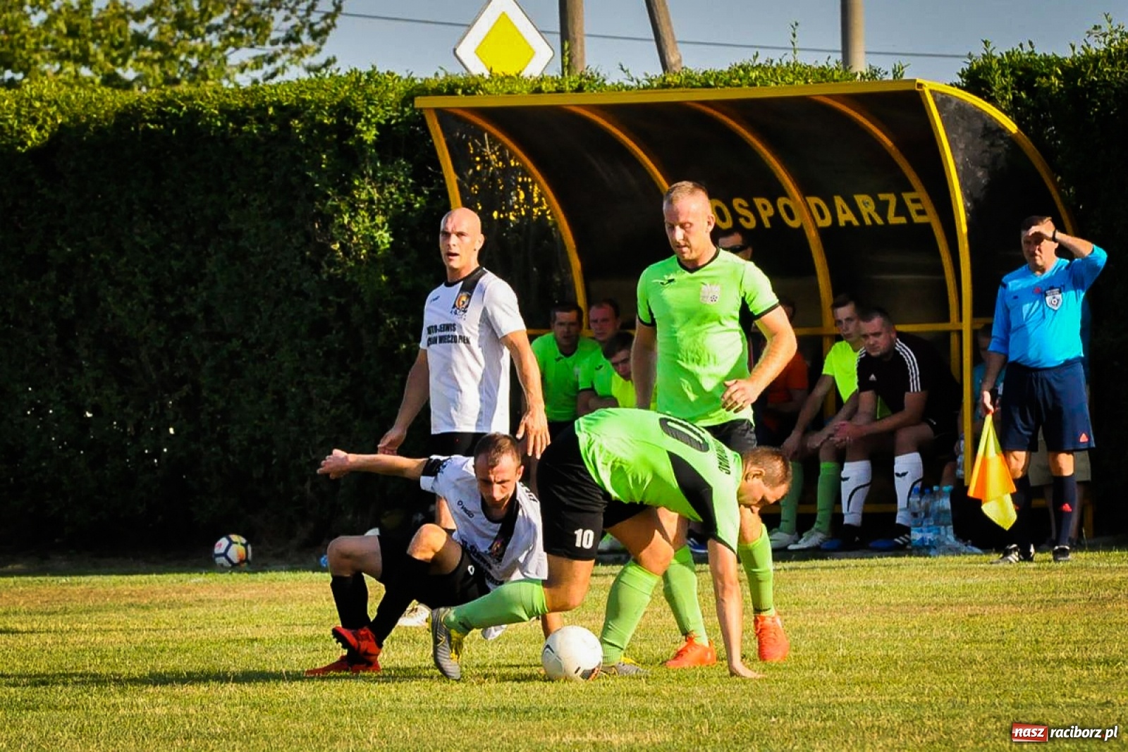 Zdjęcie w galerii na portalu naszraciborz.pl: Kobyla rozjechała sąsiadów z Kornowaca [FOTO i WIDEO] wiadomości z regionu