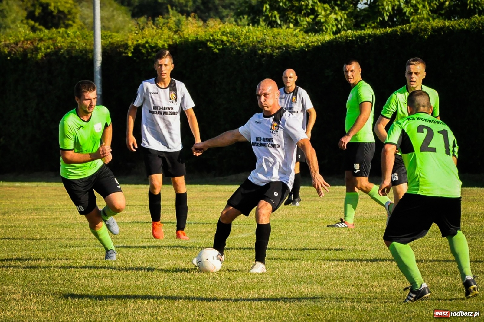 Zdjęcie w galerii na portalu naszraciborz.pl: Kobyla rozjechała sąsiadów z Kornowaca [FOTO i WIDEO] wiadomości z regionu