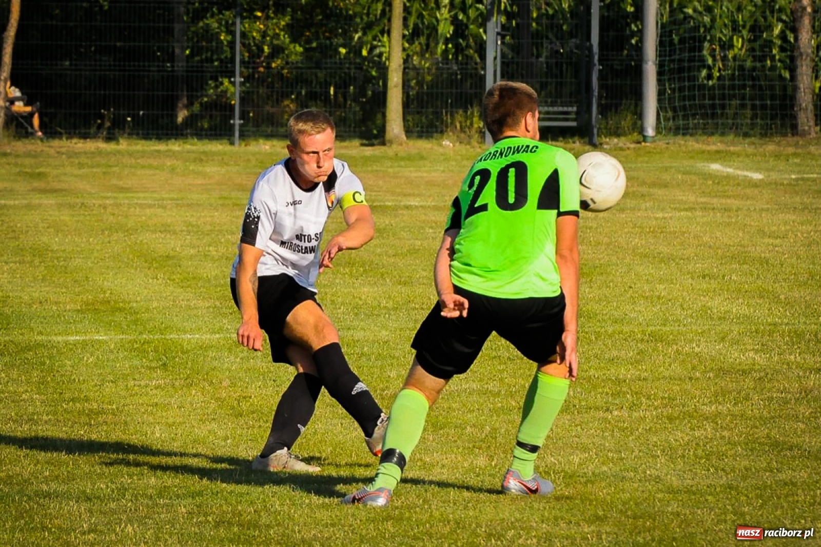 Zdjęcie w galerii na portalu naszraciborz.pl: Kobyla rozjechała sąsiadów z Kornowaca [FOTO i WIDEO] wiadomości z regionu