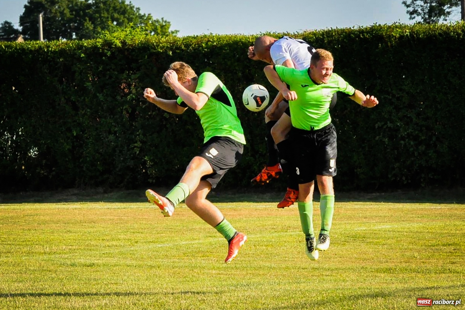 Zdjęcie w galerii na portalu naszraciborz.pl: Kobyla rozjechała sąsiadów z Kornowaca [FOTO i WIDEO] wiadomości z regionu