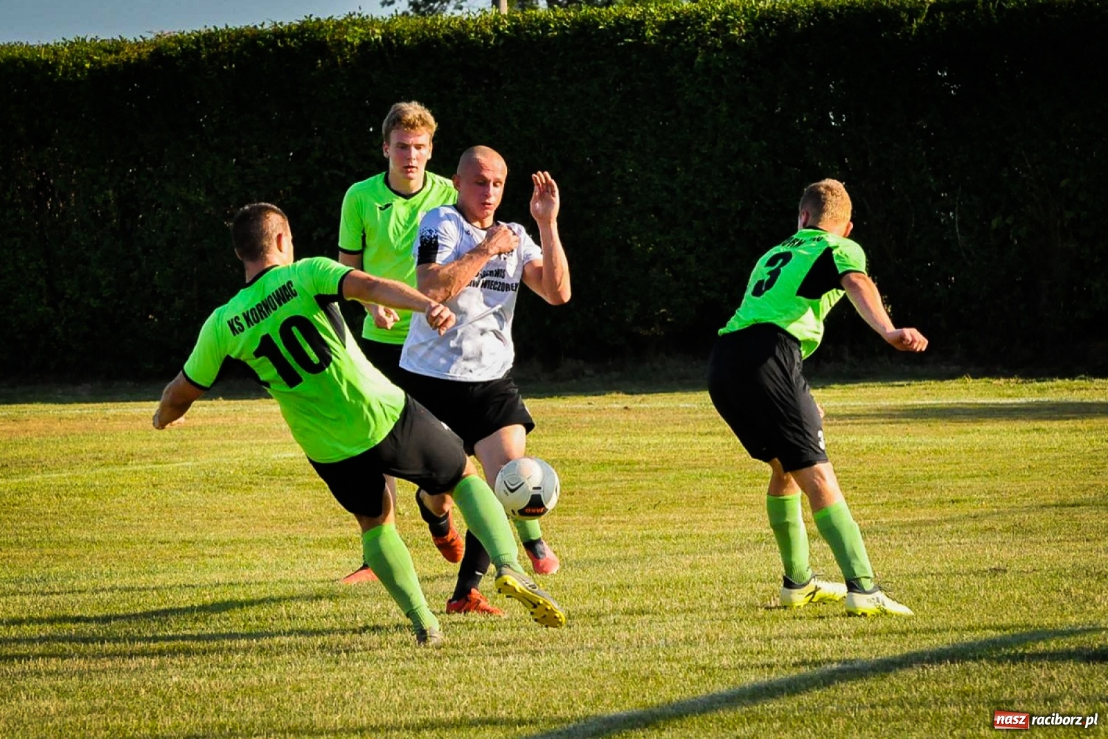 Zdjęcie w galerii na portalu naszraciborz.pl: Kobyla rozjechała sąsiadów z Kornowaca [FOTO i WIDEO] wiadomości z regionu