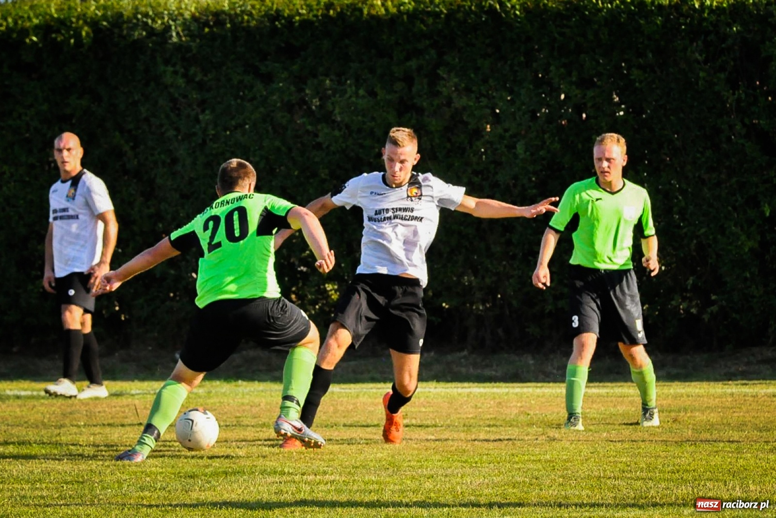 Zdjęcie w galerii na portalu naszraciborz.pl: Kobyla rozjechała sąsiadów z Kornowaca [FOTO i WIDEO] wiadomości z regionu