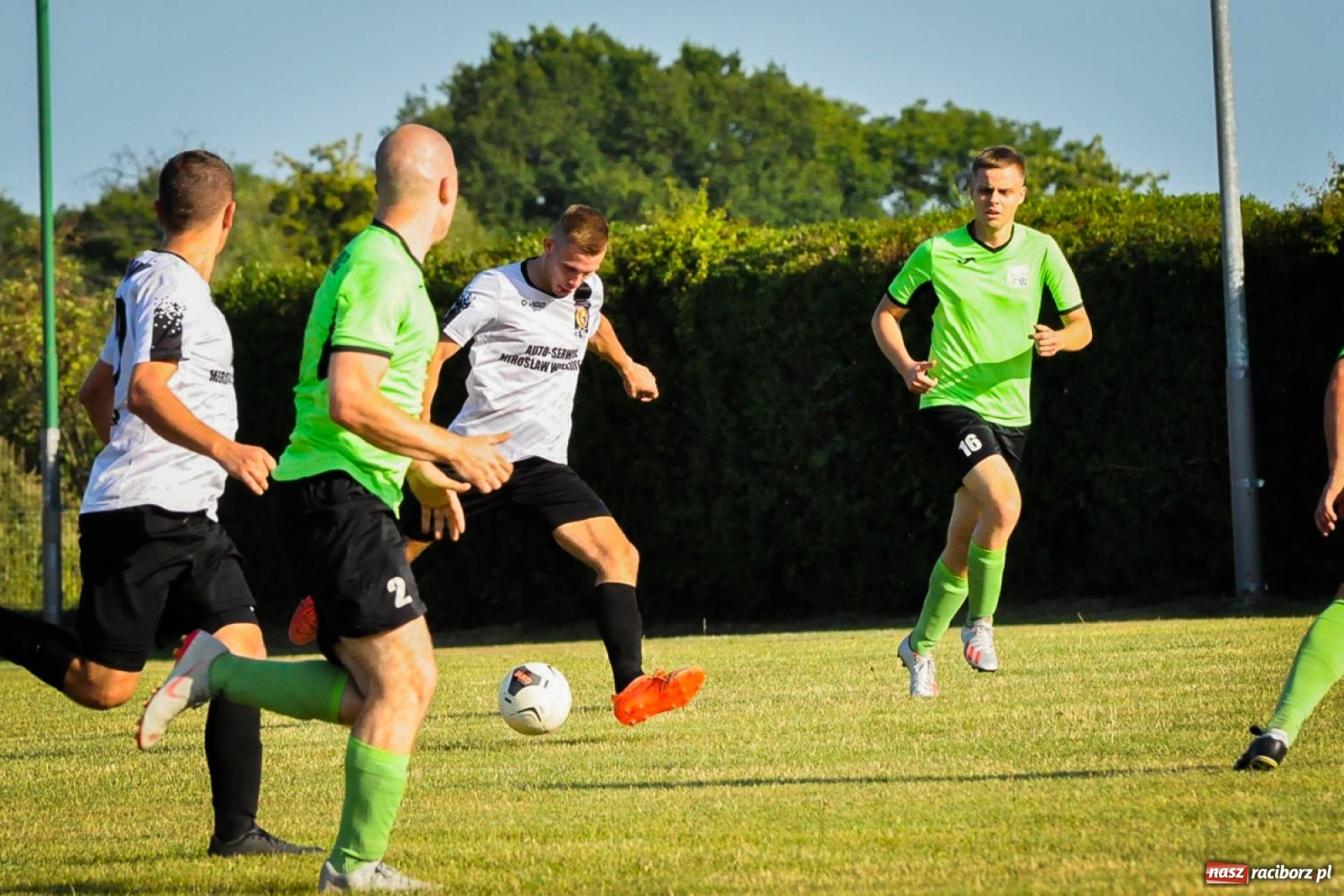 Zdjęcie w galerii na portalu naszraciborz.pl: Kobyla rozjechała sąsiadów z Kornowaca [FOTO i WIDEO] wiadomości z regionu
